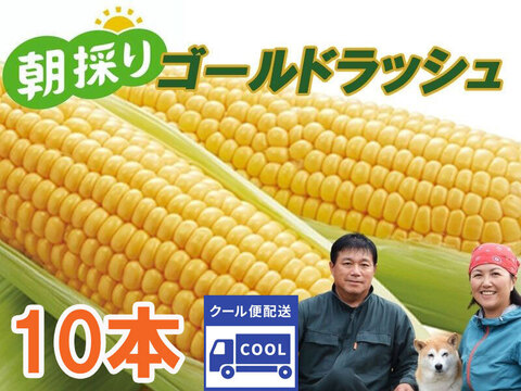 『とうもろこし スイートコーン（ゴールドラッシュ）１０本』発送当日に収穫したものを南房総の農家から直送！