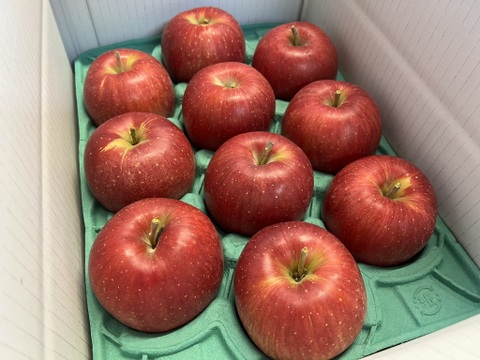 【予約販売】やさしい甘さ シナノスイート 約3kg(8～12個)