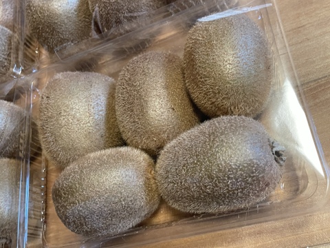 国東半島の地下水で育った栄養満点のキウイを直接お届け！『国東産キウイ』2.5kg　ヘイワード（16〜30個）