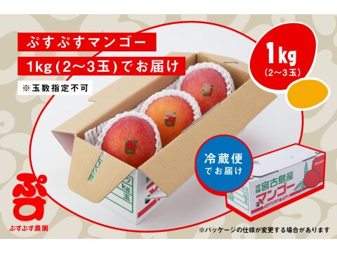 【夏ギフト】ぷすぷすマンゴー1キロ（2～3玉）