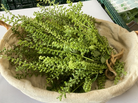 【予約増量♪】秋の味覚　プチプチ食感がクセになる　“シソの実“😄  　360g→390g  from 名水の里　神奈川県秦野市