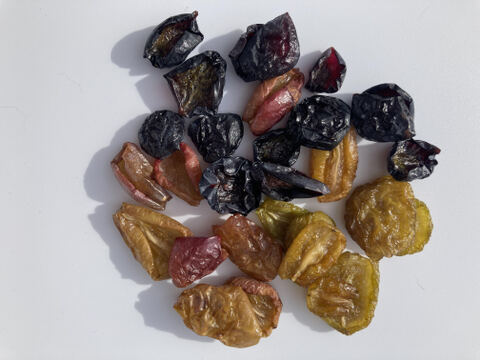 しっとり新食感！ドライフルーツ詰合せ【6袋】