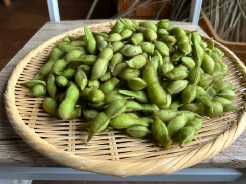 奥出雲産自然栽培丹波黒えだまめ(1kg)