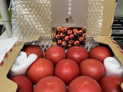 【北海道産】🍅樹上熟3段採り🍅桃太郎トマト2kg箱〈正品〉