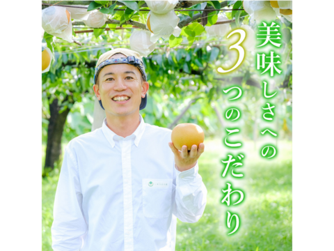 【お一人様用】豊水梨 ４玉　「ジュワ～♪とこぼれる果汁」 ８月中旬～順次発送開始