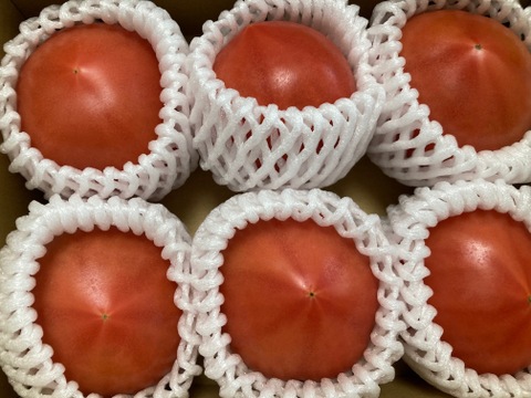 真っ赤な果実　山梨県北杜市　明野トマト（2㎏）