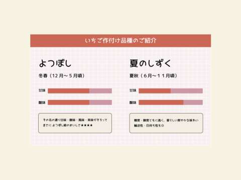 いちご 35玉×2 青森県産（夏のしずく or すずあかね）朝摘み 直送