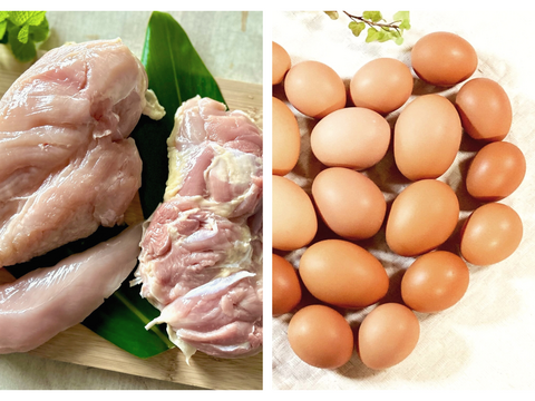 【ゲン担ぎ福袋】🧧【真】チキン勝と親子丼福袋