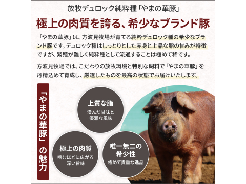 【特別価格】〖放牧豚・デュロック純粋種〗ウデモモ豚小間（冷凍）真空パック200g×6