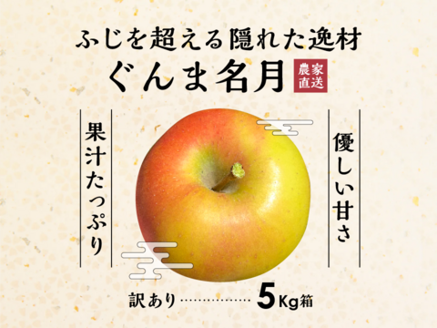 発送中！【このりんごを嫌いな人はいますか？？】名月 5キロ箱 訳あり品 商品ID75987 長野県 信州 安曇野 リンゴ 幻 幻のリンゴ 予約 希少 旬 甘い