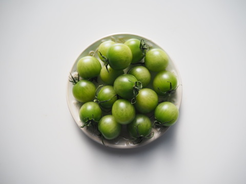 緑色ミニトマト 1kg【緑色で完熟】熊本県産：ギフトメッセージ対応