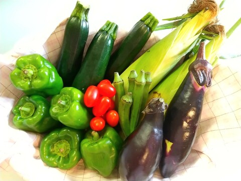 採れたて！旬の野菜セット(8〜12品目)【冬ギフト】