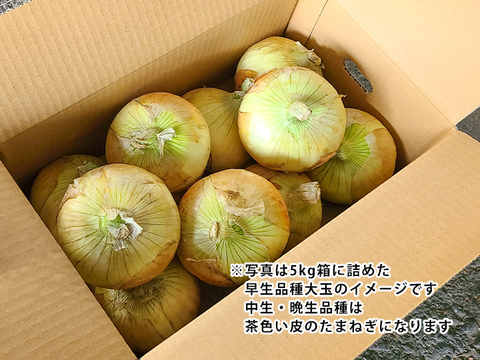 【大玉/5kgクール便】淡路島産たまねぎ  特別栽培 兵庫県認証食品