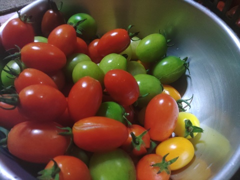 八ヶ岳高原の恵み満載！新鮮野菜5種詰め合わせセット