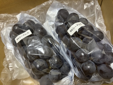 家庭用『BKシードレス』800g