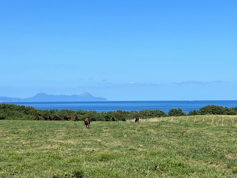 陸マグロ（オカマグロ）大間牛100％ハンバーグ２パックセット