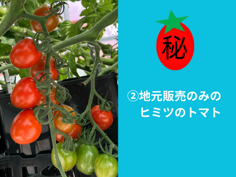 ★2㎏★秘密にしたい?!ミニトマト『ヒミツのミニ』約2kg（250gx8p）