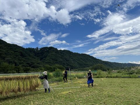 白州米 コシヒカリ『白米・無洗米・真空包装』20個セット