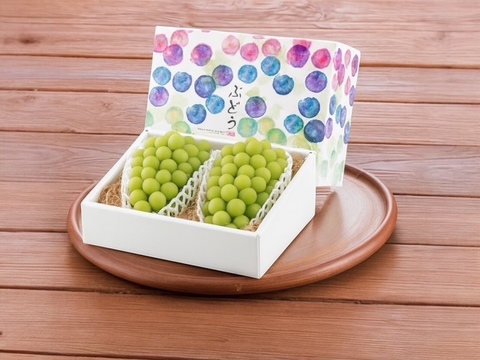 瀬戸ジャイアンツ – 皮ごと食べれる、極上の味わい