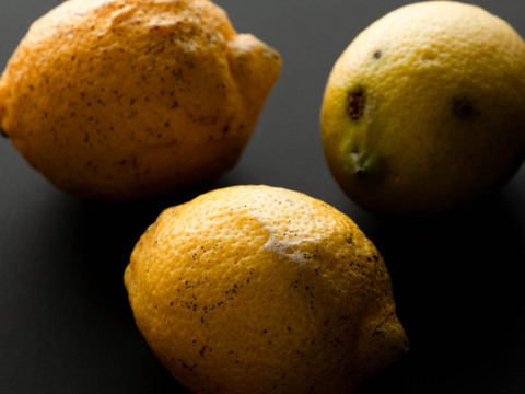 【広島県産】瀬戸田しまなみレモンC品(10kg) 栽培期間中農薬不使用