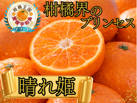 【ミシュラン御用達】正統血統が生んだロイヤルプリンセス『はれひめ』🍊甘みと香りが調和する完成柑橘大容量パッケージ約3kg