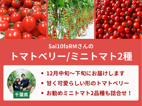 【販売終了】【限定200セット】トマト食べ比べ便（食べチョク公式）
