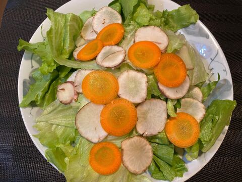 堀りたて！自然栽培の紫菊芋（フランス菊芋）