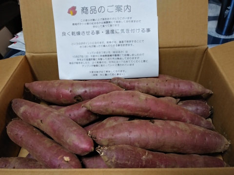 さつまいも(紅はるか)5kg S〜LLサイズ:茨城県産のべにはるか さつまいも(紅はるか)5kg S〜LLサイズ:茨城県産のべにはるか