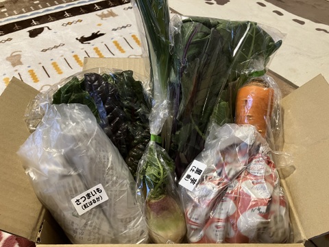 一人暮らしの方に・季節の野菜セット５～７品（Ｓサイズ・1～1.5kg前後）【お試しサイズ】