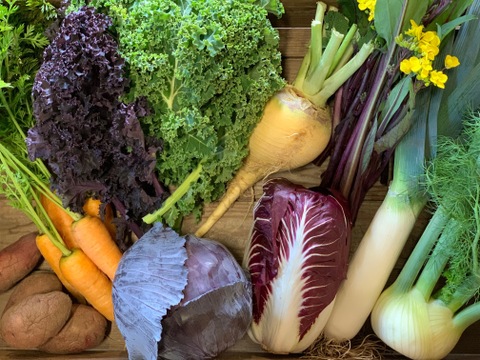 農薬・化学肥料不使用！西洋野菜とカラフル野菜セット！！