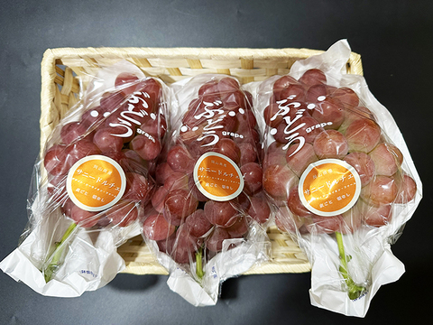 さっぱり甘い！岡山県産種なしサニードルチェ（約1.5kg、3～4房）