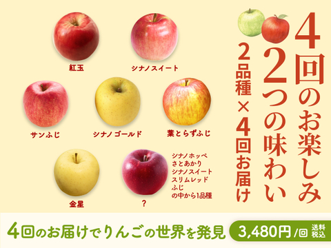 【限定200】りんご食べ比べ第2弾（食べチョク公式）