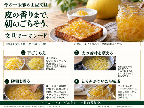日本ギフト大賞受賞】土佐文旦 大玉 3kg（約5～7玉）家庭用｜発祥の地