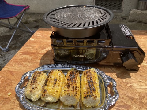 とうもろこし　ドルチェドリーム　７本　京都産