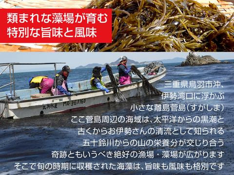 毎日あかもく！ネバシャキ！【産地直送】きざみあかもく20ｇ小分けパック50個　 伊勢志摩産　鳥羽市の離島・菅島沿岸で収穫！　人気のおみやげ　鳥羽のお土産28選　NIPPONFOODSHIFT入賞商品