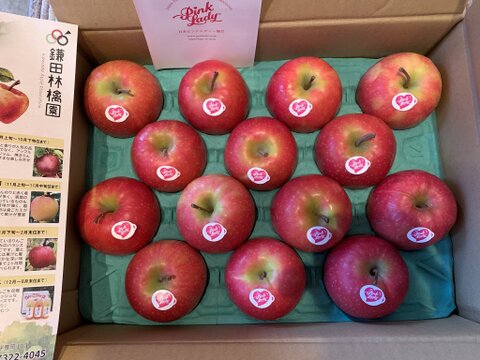 キュンとくる酸味りんご❗　ピンクレディー®（12個から16個）箱含め3キロ