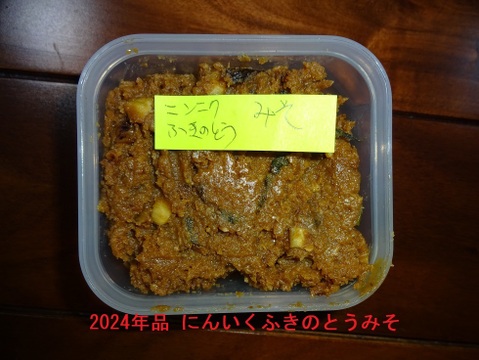 【今が旬】大きさと味に感動！安心安全の農法で育てたジャンボにんにく【一房】