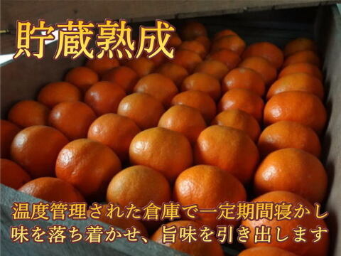 年明けでも薄皮！濃厚！甘～い！三拍子そろったみかん！とにかく甘くて美味しいみかんを食べたい方にオススメ！二段熟成の完熟みかん「熟成味柑」　サイズ混合　お試し品　５ｋｇ【177】