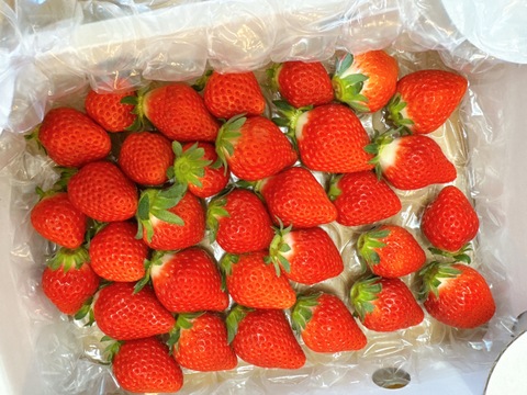 【さがほのか】5月の❤️きらきら🍓ほのかちゃん2箱