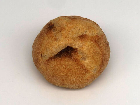 全部有機！Singleパン㉙：麦の栽培から一貫生産　自然栽培有機小麦のみ使用した有機プチパン8個