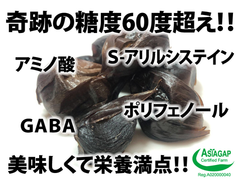【300円OFFクーポン】奇跡のブラックフルーツ お得用500g【ソフトドライタイプ】農薬・化学肥料・除草剤一切不使用！！