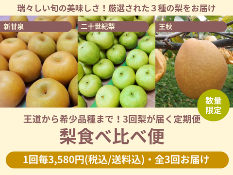 【売り切れ】【限定200セット】梨の食べ比べ便（食べチョク公式）