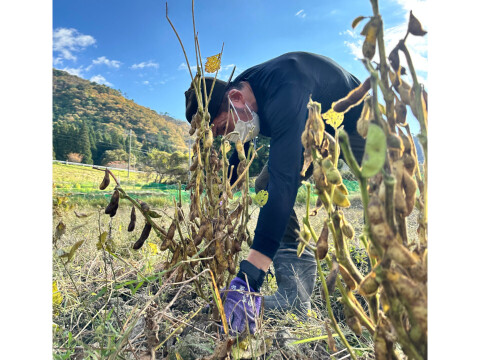 丹波篠山 黒豆 300g 丹波篠山産 丹波黒豆2L 丹波黒お正月 おせち料理 煮豆レシピ付き 令和6年産