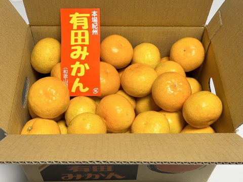 旨味こだわり和歌山県産有田みかん 本場の味をお届け！(箱込10kg×2)