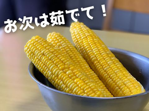 【自然のスイーツ】生がイチバン！朝採りフルーツコーン 10本入り