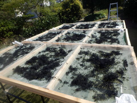 【希少！天然・天日！】伝統製法で仕上げた海藻３種セット　（メール便）