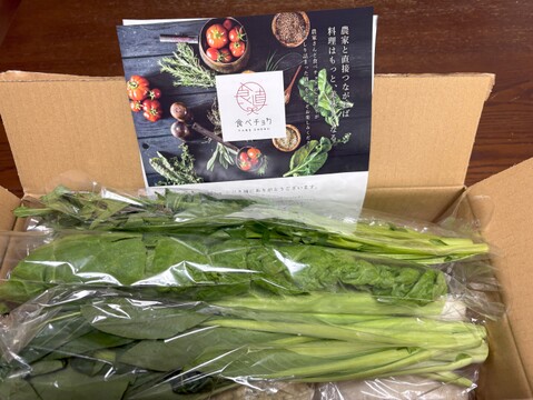 Mサイズ ＊旬野菜セット(約8~9品)【農薬：栽培期間中不使用】