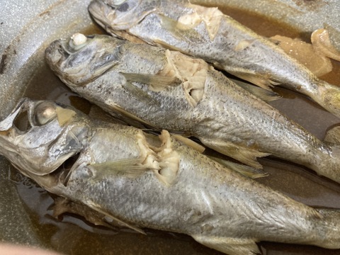 食べて美味しい！簡単調理で楽しめる！シンムツ（子ムツ）1kg（10尾前後）