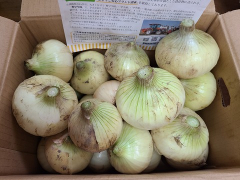 淡路島新玉ねぎ「早生種」５kg