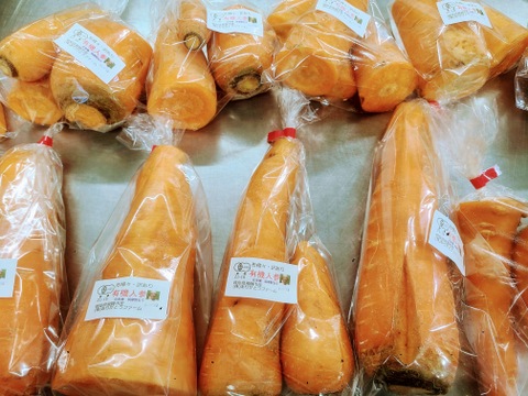 **年末にお届け！　お餅とお野菜のセットで良い年をお迎えください！**